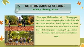 AUTUMN (MUSIM GUGUR) 
The body, planting, action 
Dimanapun dibelahan bumi ini, Musim gugur 
adalah waktu untuk mempersiapkan tanah/lahan pada 
siklus masa panen baru. Tanah digemburkan, tanah 
dibersihkan dari akar-akar tua dan bebatuan bahkan 
bila perlu tanah juga diberikan pupuk agar semakin 
subur. Kemudian benih baru ditanamkan kedalam 
tanah. 
 