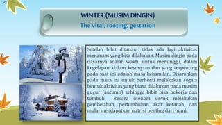 WINTER (MUSIM DINGIN) 
The vital, rooting, gestation 
Setelah bibit ditanam, tidak ada lagi aktivitas 
menanam yang bisa dilakukan. Musim dingin pada 
dasarnya adalah waktu untuk menunggu, dalam 
kegelapan, dalam kesunyian dan yang terpenting 
pada saat ini adalah masa kehamilan. Disarankan 
pada masa ini untuk berhenti melakukan segala 
bentuk aktivitas yang biasa dilakukan pada musim 
gugur (autumn) sehingga bibit bisa bekerja dan 
tumbuh secara otonom untuk melakukan 
pembelahan, pertumbuhan akar ketanah, dan 
mulai mendapatkan nutrisi penting dari bumi. 
 