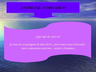 INFLUENZA – VIRUS AH1N1 INFLUENZA – VIRUS AH1N1 ¿Qué tipo de virus es? Se trata de un patógeno de tipo ah1n1 , pero nunca antes detectado :  tiene componentes porcinos , aviares y humanos. 