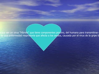 El actual brote de gripe AH1N1 parece ser un virus &quot;híbrido&quot; que tiene componentes porcino, del humano para transmitirse de persona a persona.  Además, se trata de un virus nuevo, por lo que no se sabe cómo puede comportarse, según los científicos. La gripe AH1N1 es una enfermedad respiratoria que afecta a los cerdos, causada por el virus de la gripe tipo A, que provoca con frecuencia brotes de gripe entre estos animales, fundamentalmente en otoño e invierno.  