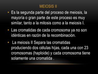 MEIOSIS II
• Es la segunda parte del proceso de meiosis, la
mayoría o gran parte de este proceso es muy
similar, tanto a la mitosis como a la meiosis I.
• Las cromatidas de cada cromosoma ya no son
idénticas en razón de la recombinación.
• La meiosis II Separa las cromatidas
produciendo dos células hijas, cada una con 23
cromosomas (haploide) y cada cromosoma tiene
solamente una cromatida .
 