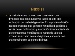 MEIOSIS I
• La meiosis es un proceso que consiste en dos
divisiones celulares sucesivas luego de una sola
replicación del material genético. En la primera división
ocurren procesos que generan variabilidad genética a
través de recombinación y asociación independiente de
los cromosomas homólogos; el resultado de este
proceso son cuatro células haploides, cada una con
una combinación de genes distintos.
 