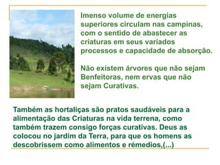 Imenso volume de energias
superiores circulam nas campinas,
com o sentido de abastecer as
criaturas em seus variados
processos e capacidade de absorção.
Não existem árvores que não sejam
Benfeitoras, nem ervas que não
sejam Curativas.
Também as hortaliças são pratos saudáveis para a
alimentação das Criaturas na vida terrena, como
também trazem consigo forças curativas. Deus as
colocou no jardim da Terra, para que os homens as
descobrissem como alimentos e rémedios,(...)
 