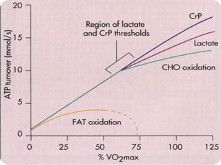 Limiar do PC e Lactato 
