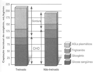 Treinado x Não Treinado 