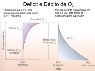 Deficit e Débito de O 2 Período em que o VO 2  está abaixo do necessário para suprir o ATP requerido Período durante recuperação em que o o VO 2  está acima do necessário para suprir ATP 