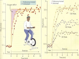 Deficit de Oxigênio 