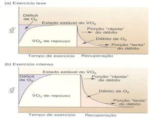 Deficit de Oxigênio período em que o VO 2  está abaixo do necessário para suprir o ATP necessário 