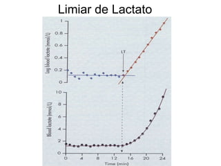 Limiar de Lactato 