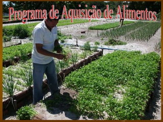 Programa de Aquisição de Alimentos 