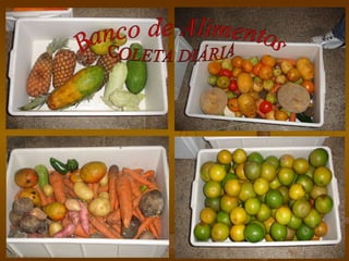 COLETA DIÁRIA Banco de Alimentos 