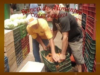 COLETA DIÁRIA Banco de Alimentos 