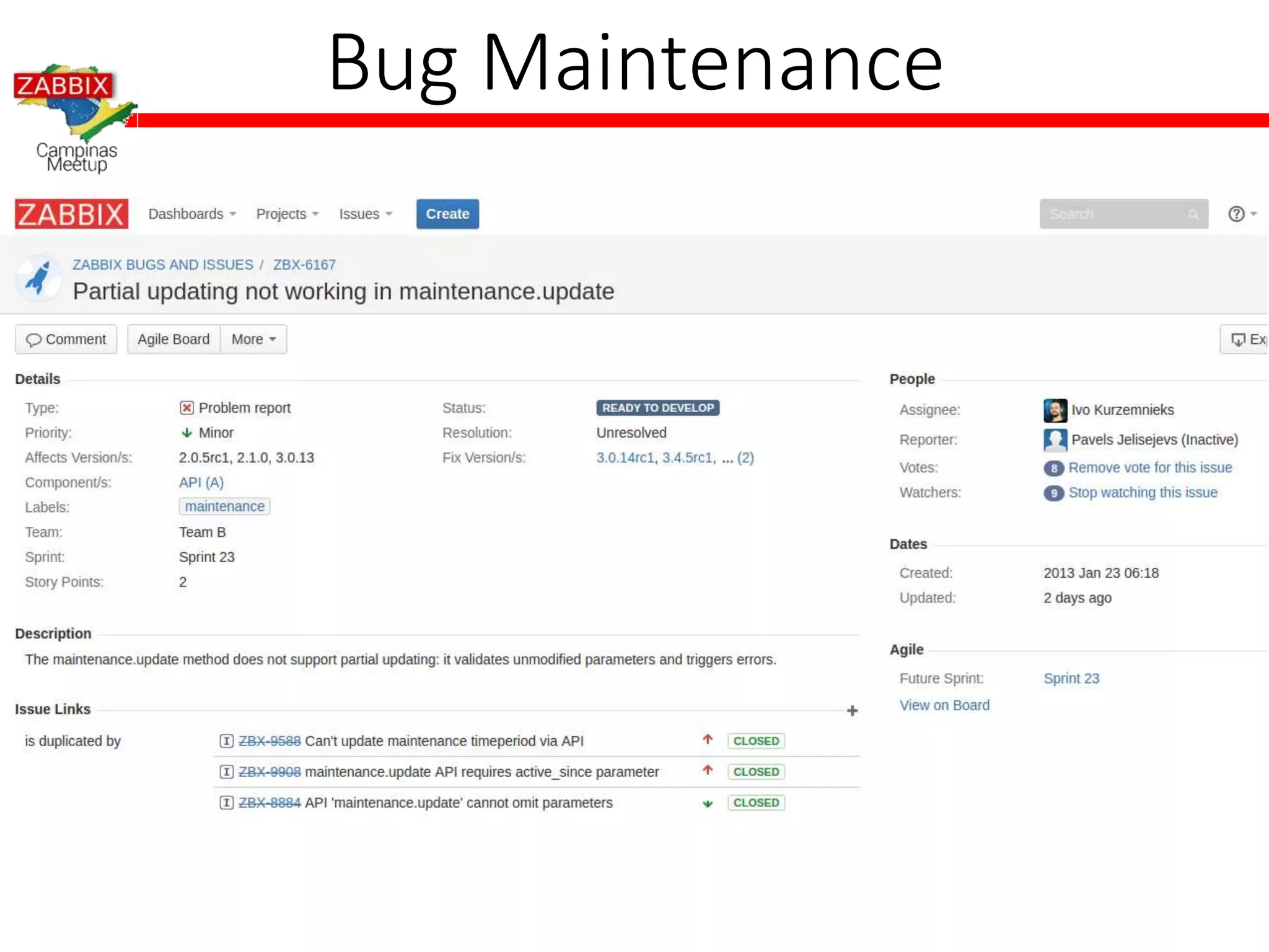 Bug Maintenance