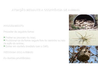 ATUAÇÃO MEDIANTE A OCORRÊNCIA DE ANIMAISATUAÇÃO MEDIANTE A OCORRÊNCIA DE ANIMAIS
PROCEDIMENTOPROCEDIMENTO
Proceder da seguinte forma:Proceder da seguinte forma:
Retirar as pessoas do local;Retirar as pessoas do local;
Posicionar-se de forma segura fora do caminho ou raioPosicionar-se de forma segura fora do caminho ou raio
de ação do animal;de ação do animal;
Entrar em contato imediato com o SMS.Entrar em contato imediato com o SMS.
RETIRADA DOS ANIMAISRETIRADA DOS ANIMAIS
As devidas providências:As devidas providências:
 