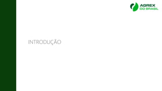 INTRODUÇÃO
 