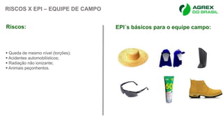 RISCOS X EPI – EQUIPE DE CAMPO
 Queda de mesmo nível (torções);
 Acidentes automobilísticos;
 Radiação não ionizante;
 Animais peçonhentos.
Riscos: EPI´s básicos para o equipe campo:
 