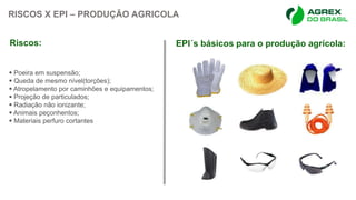 RISCOS X EPI – PRODUÇÃO AGRICOLA
 Poeira em suspensão;
 Queda de mesmo nível(torções);
 Atropelamento por caminhões e equipamentos;
 Projeção de particulados;
 Radiação não ionizante;
 Animais peçonhentos;
 Materiais perfuro cortantes
Riscos: EPI´s básicos para o produção agrícola:
 