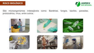 RISCO BIOLÓGICO
São microorganismos indesejáveis como: Bactérias, fungos, bacilos, parasitas,
protozoários, vírus, entre outros.
 
