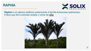 8
Raphia é um gênero botânico pertencente à família Arecaceae (palmeiras).
A fibra que lhe é extraída recebe o nome de ráfia
RAPHIA
 
