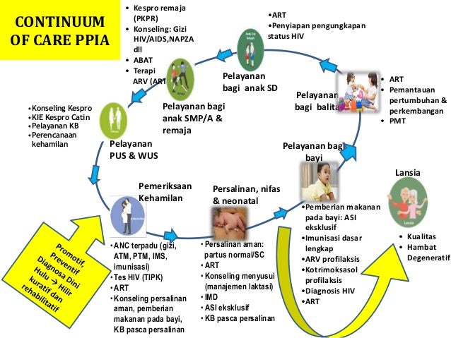 Integrasi ims anc terpadu 1