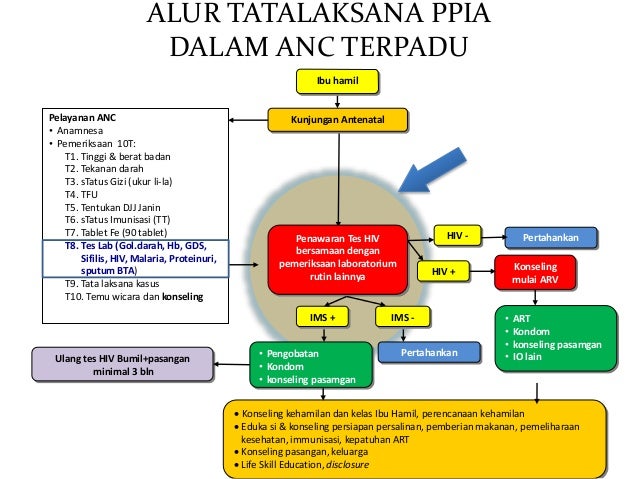 Integrasi ims anc terpadu 1
