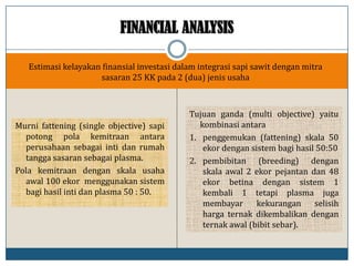 Murni fattening (single objective) sapi
potong pola kemitraan antara
perusahaan sebagai inti dan rumah
tangga sasaran sebagai plasma.
Pola kemitraan dengan skala usaha
awal 100 ekor menggunakan sistem
bagi hasil inti dan plasma 50 : 50.
Tujuan ganda (multi objective) yaitu
kombinasi antara
1. penggemukan (fattening) skala 50
ekor dengan sistem bagi hasil 50:50
2. pembibitan (breeding) dengan
skala awal 2 ekor pejantan dan 48
ekor betina dengan sistem 1
kembali 1 tetapi plasma juga
membayar kekurangan selisih
harga ternak dikembalikan dengan
ternak awal (bibit sebar).
Estimasi kelayakan finansial investasi dalam integrasi sapi sawit dengan mitra
sasaran 25 KK pada 2 (dua) jenis usaha
 