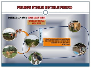 PEMANFAATAN SUMBERDAYA BERSAMA
SEHINGGA MENDORONG SINERGI ATAU
SIMBIOSIS MUTUALISM ANTAR
KOMODITAS
LEBIHPADA
MEMELIHARA SAPI PADA
AREAL SAWIT
INTEGRASI SAPI-SAWIT TIDAK SELALU HARUS
 