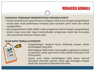 MENGATASI KENDALA
AGAR DAPAT BERJALAN EFEKTIF:
 Pengembangan integrasi harus didukung dengan sistem
kelembagaan yang jelas.
 Kelembagaan tidak hanya menyangkut organisasi (a players
of organize) tetapi juga aturan main dalam kerjasama (rule
of the game).
 Aturan main dalam kelembagaan tidak hanya internal
kelompok peternak sasaran, tetapi juga hubungan dengan
pihak lain yang harus disepakati bersama.
GANGGUAN TERHADAP PRODUKTIVITAS TANAMAN SAWIT:
• Sistem pemeliharaan intensif karena integrasi tidak harus dengan pengembalaan
ternak pada areal perkebunan terutama pada tanaman sawit muda dan belum
menghasilkan.
• Jika pengembalaan lebih efektif, maka pengaturan jadual dengan pengembalaan
sistem rotasi atau jalur dapat meminimalisir pengerasan tanah dan kerusakan
akar permukaan tanaman kelapa sawit.
 