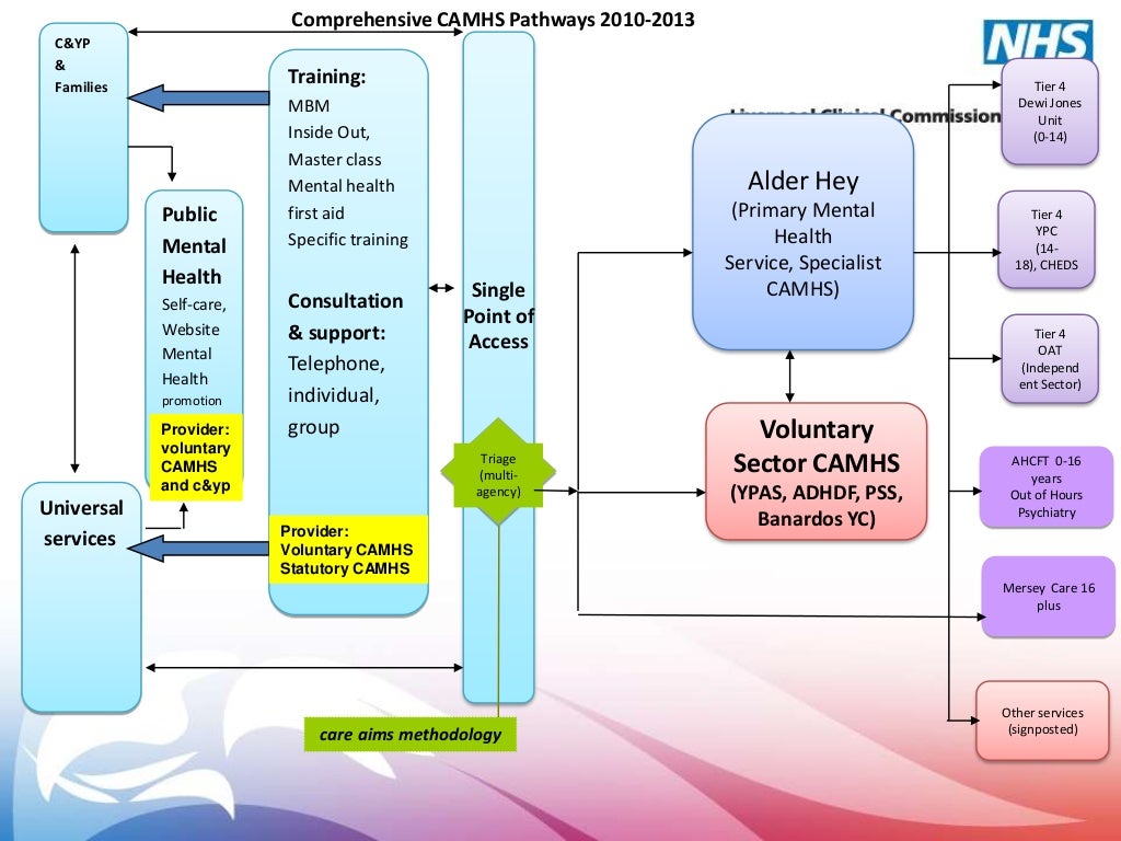 Integrated Nursing Pathway | INTEGRATED NURSING PATHWAY – UQCC