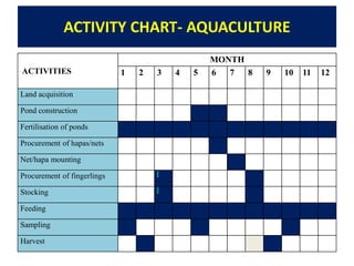 ACTIVITY CHART-POULTRY
MONTH
ACTIVITIES 1 2 3 4 5 6 7 8 9 10 11 12
Construction of poultry house
Preparation of poultry ho...