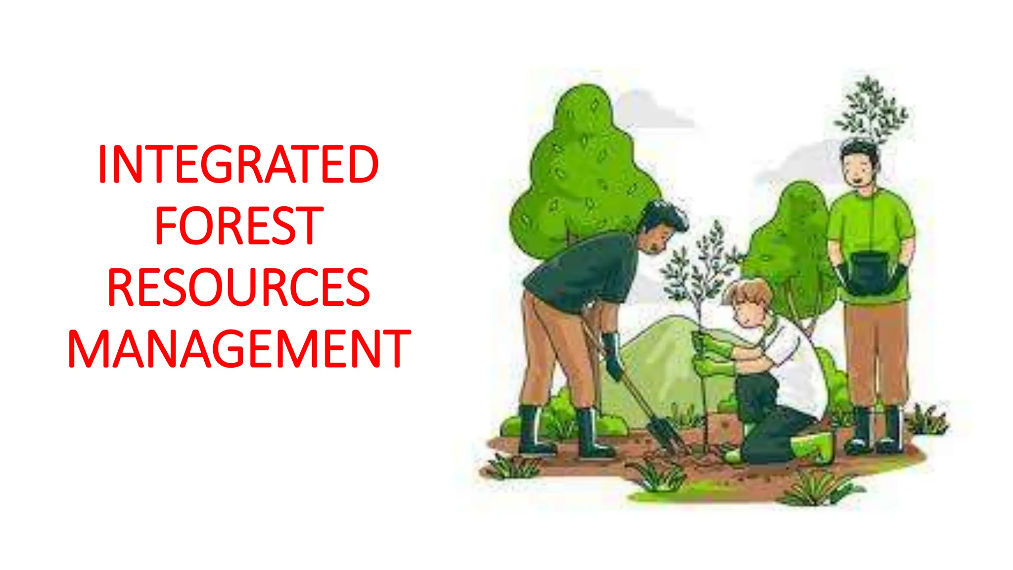 INTEGRATED FOREST RESOURCES MANAGEMENT pptx INTEGRATED FOREST RESOURCES MANAGEMENT pptx
