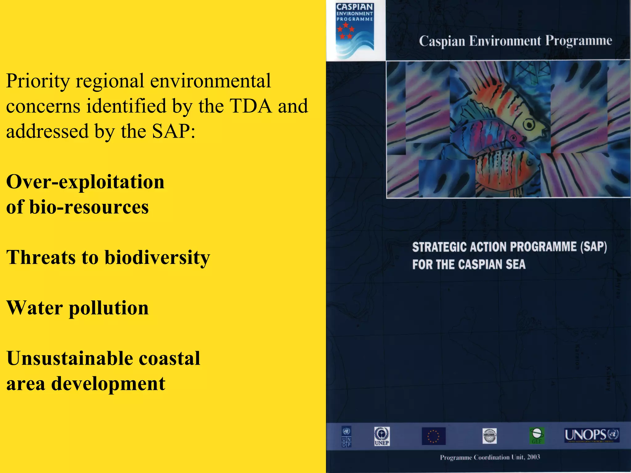 Priority regional environmental 
concerns identified by the TDA and 
addressed by the SAP: 
Over-exploitation 
of bio-resources 
Threats to biodiversity 
Water pollution 
Unsustainable coastal 
area development 
 