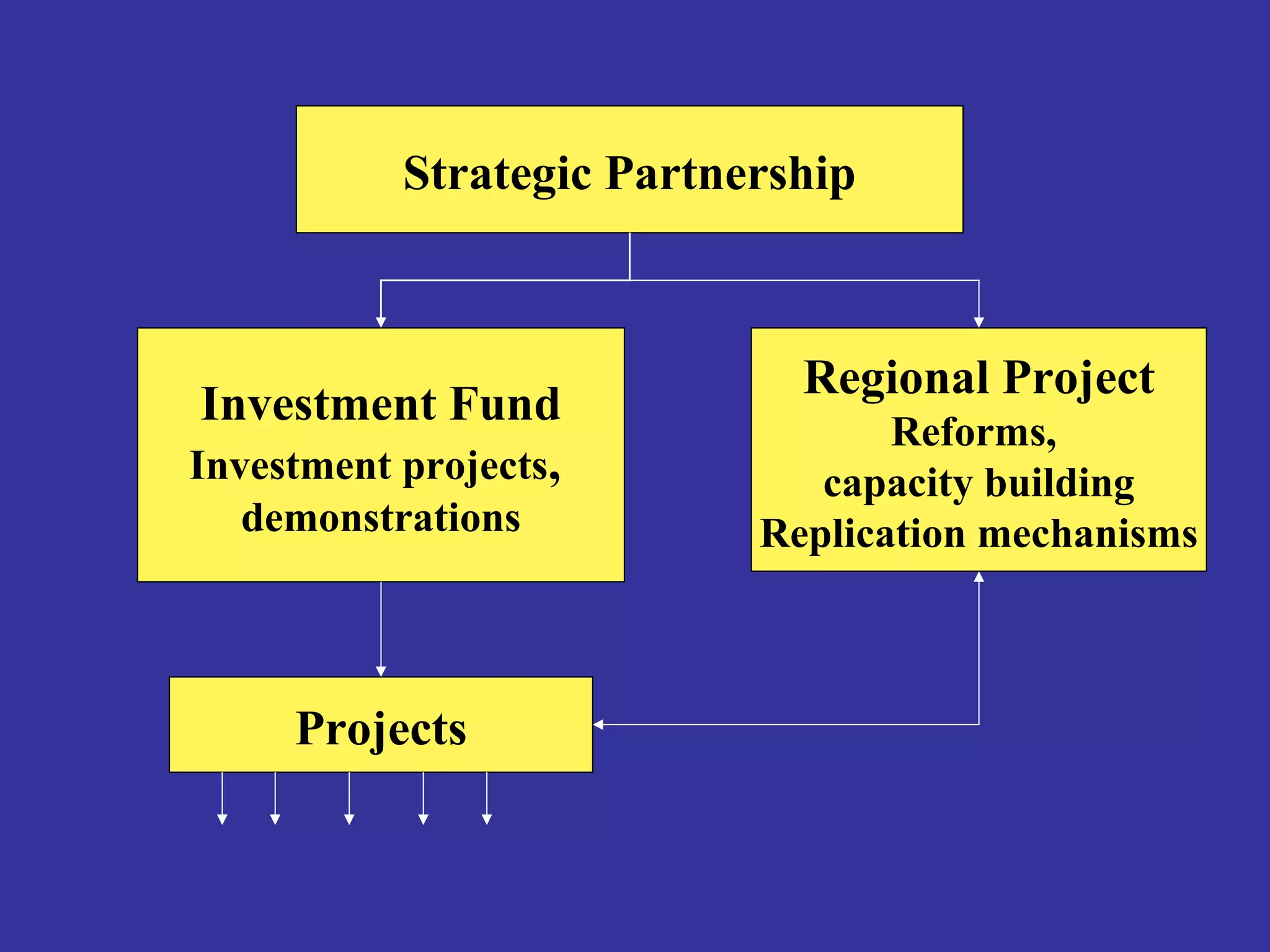 Strategic Partnership 
Investment Fund 
Investment projects, 
demonstrations 
Regional Project 
Reforms, 
capacity building 
Replication mechanisms 
Projects 
 