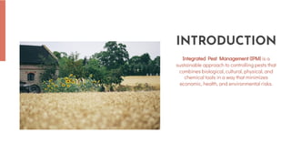 The Importance of Integrated Pest Management: A Sustainable Approach to ...