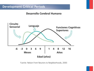 Development Critical Periods
 
