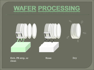 Dry Etch, PR strip, or clean Rinse 