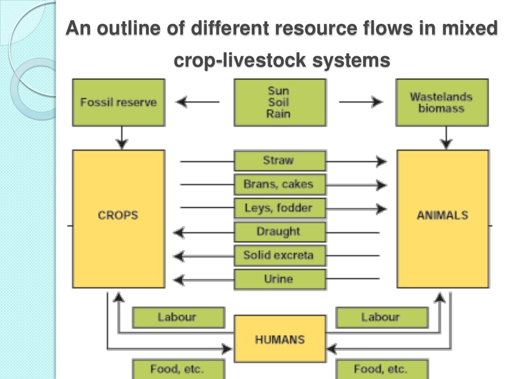 Integrated crop livestock system for sustainable crop production