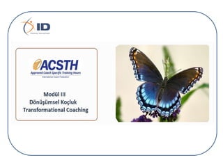 Integrated development coaching