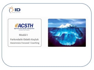 Integrated development coaching