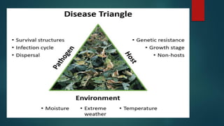 Integrated disease management (IDM)