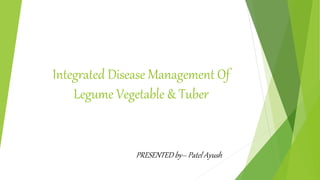 Integrated Disease Management Of
Legume Vegetable & Tuber
PRESENTED by– Patel Ayush
 
