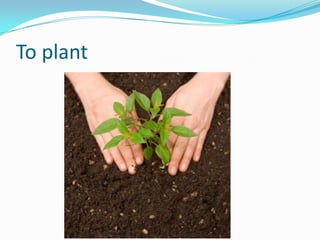To plant
 