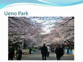 Ueno Park
 