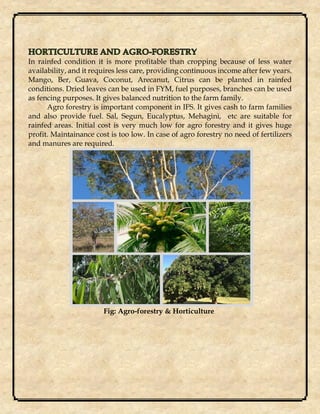 In rainfed condition it is more profitable than cropping because of less water
availability, and it requires less care, providing continuous income after few years.
Mango, Ber, Guava, Coconut, Arecanut, Citrus can be planted in rainfed
conditions. Dried leaves can be used in FYM, fuel purposes, branches can be used
as fencing purposes. It gives balanced nutrition to the farm family.
Agro forestry is important component in IFS. It gives cash to farm families
and also provide fuel. Sal, Segun, Eucalyptus, Mehagini, etc are suitable for
rainfed areas. Initial cost is very much low for agro forestry and it gives huge
profit. Maintainance cost is too low. In case of agro forestry no need of fertilizers
and manures are required.
Fig: Agro-forestry & Horticulture
 