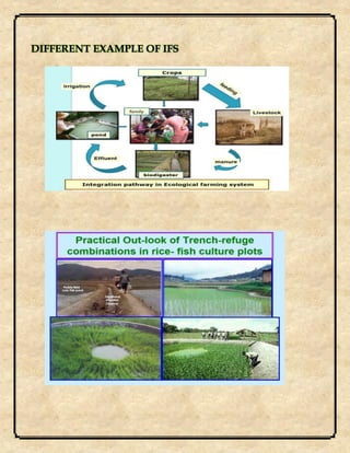 DIFFERENT EXAMPLE OF IFS
 