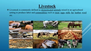 Livestock
❖ Livestock is commonly defined as domesticated animals raised in an agricultural
setting to produce labor and commodities such as meat, eggs, milk, fur, leather, wool
etc.
 