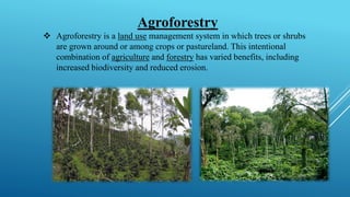 Agroforestry
❖ Agroforestry is a land use management system in which trees or shrubs
are grown around or among crops or pastureland. This intentional
combination of agriculture and forestry has varied benefits, including
increased biodiversity and reduced erosion.
 