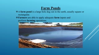 Farm Ponds
❖A farm pond is a large hole dug out in the earth, usually square or
rectangular.
❖Farmers are able to apply adequate farm inputs and
perform farming operations.
 