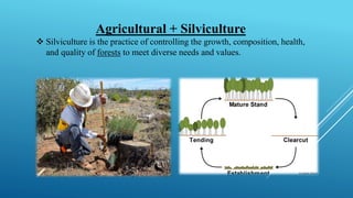 Agricultural + Silviculture
❖ Silviculture is the practice of controlling the growth, composition, health,
and quality of forests to meet diverse needs and values.
 