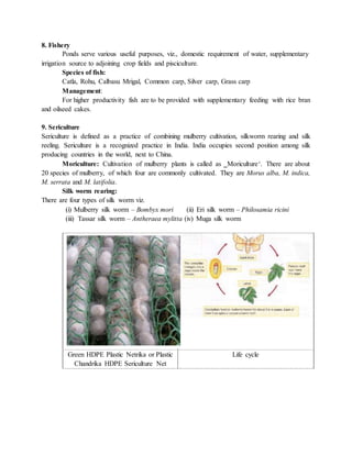 Green HDPE Plastic Netrika or Plastic
Chandrika HDPE Sericulture Net
Life cycle
8. Fishery
Ponds serve various useful purposes, viz., domestic requirement of water, supplementary
irrigation source to adjoining crop fields and pisciculture.
Species of fish:
Catla, Rohu, Calbasu Mrigal, Common carp, Silver carp, Grass carp
Management:
For higher productivity fish are to be provided with supplementary feeding with rice bran
and oilseed cakes.
9. Sericulture
Sericulture is defined as a practice of combining mulberry cultivation, silkworm rearing and silk
reeling. Sericulture is a recognized practice in India. India occupies second position among silk
producing countries in the world, next to China.
Moriculture: Cultivation of mulberry plants is called as ‗Moriculture‘. There are about
20 species of mulberry, of which four are commonly cultivated. They are Morus alba, M. indica,
M. serrata and M. latifolia.
Silk worm rearing:
There are four types of silk worm viz.
(i) Mulberry silk worm – Bombyx mori (ii) Eri silk worm – Philosamia ricini
(iii) Tassar silk worm – Antheraea mylitta (iv) Muga silk worm
 